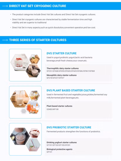 Healthcare Ingredients Lactobacillus Probiotics for Relieve Diarrhea