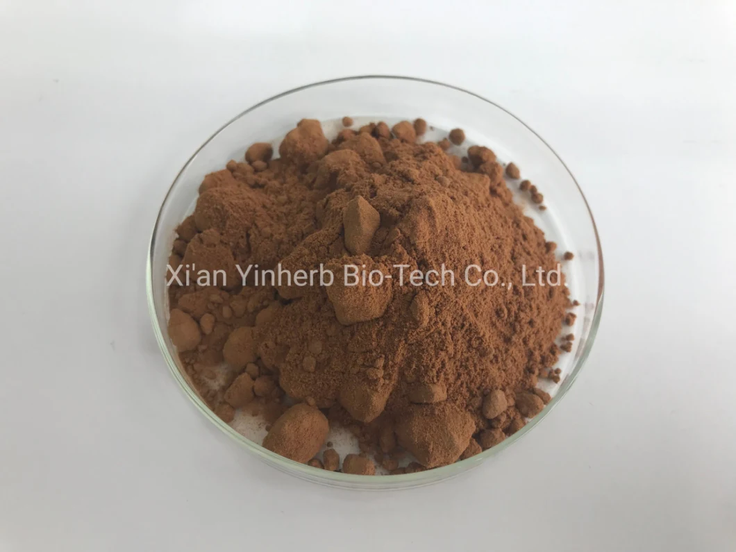 Professional Production and Wholesale Cordyceps Sinensis Extract / Super Lion′ S Mane Mushroom