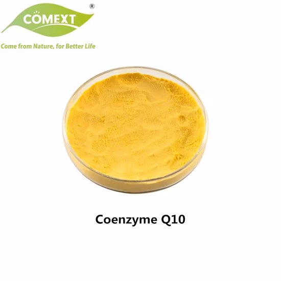 Nahrungsergänzungsmittel für das Gesundheitswesen Coenzym Q10 Pulver Q10 Coenzym 98 % Pulver